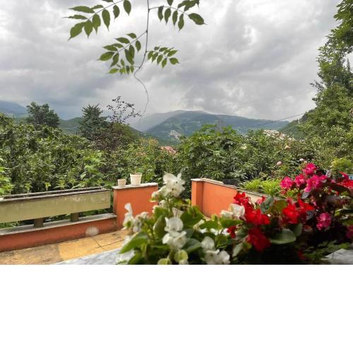 Villa Zigana 2 bedrooms 3
