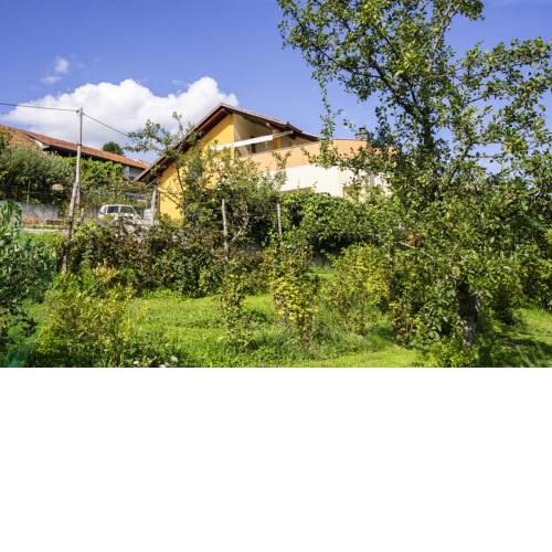 Village house Okra