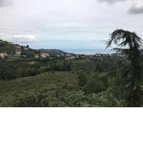 Village House With Natural Sea View Merkez Koyde