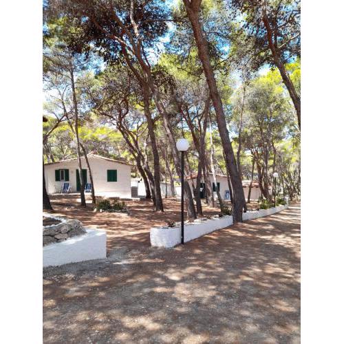 Villaggio Internazionale Punta del Diamante