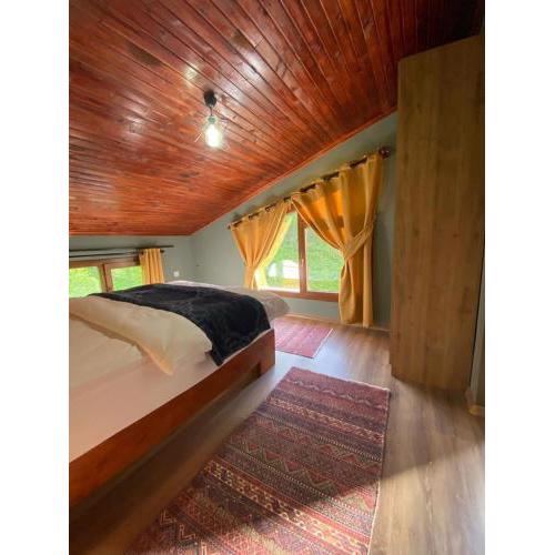 Villamill Apart & House