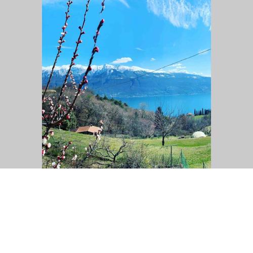 VillaTullia Ferienhaus mit Seesicht Gardasee