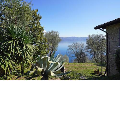Ville in uliveto vista lago - VILLA CASALIVA