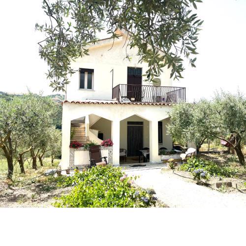 Villetta con Oliveto CFG