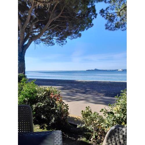 villetta le palme