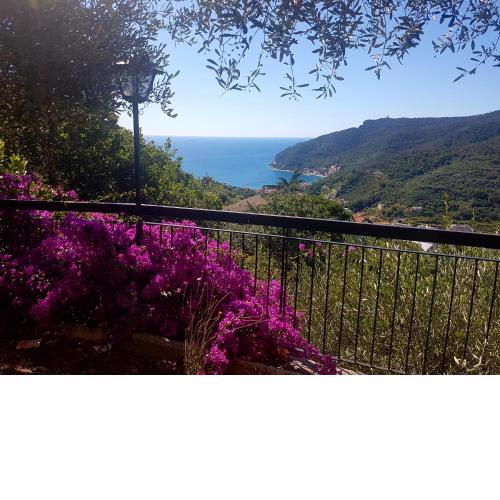 villino buganvillea Noli