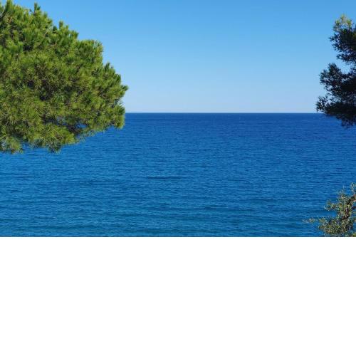 Villino indipendente fronte mare