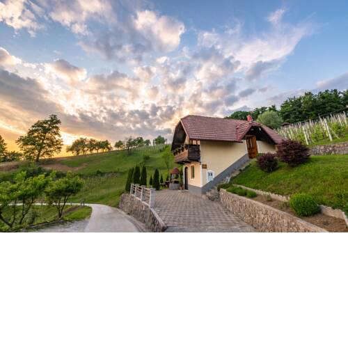 Vineyard Cottage Krivic