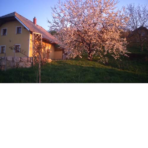 Vineyard Cottage Lisec Relaxation