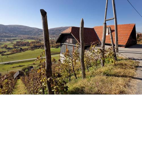 Vineyard cottage Ludvikov hram