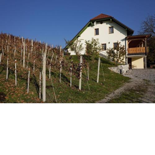 Vineyard cottage Majzelj