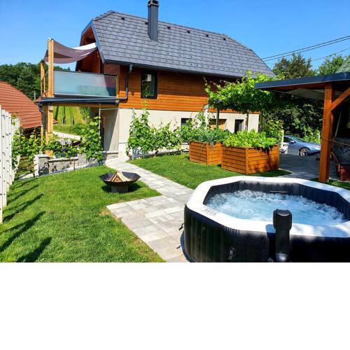 Vineyard cottage Matej