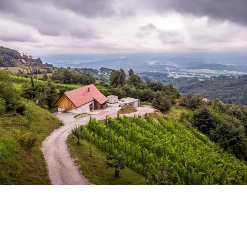 Vineyard cottage Škatlar 3