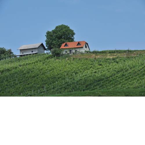 Vineyard Cottage Zdolsek