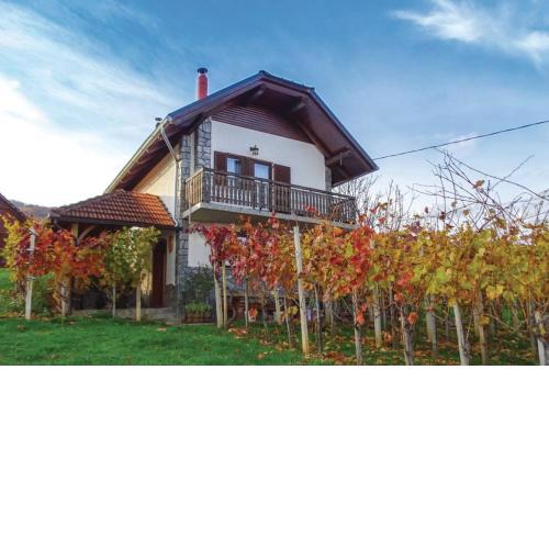 Vineyard house Bahor