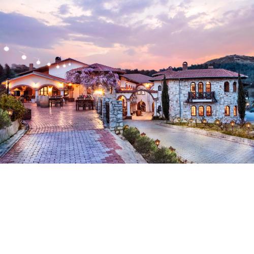 VINIFERA VINEYARDS HOTEL