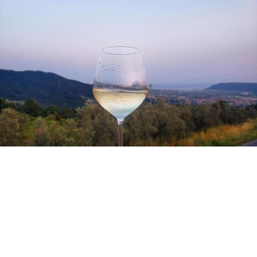 Vinomare Guesthouse