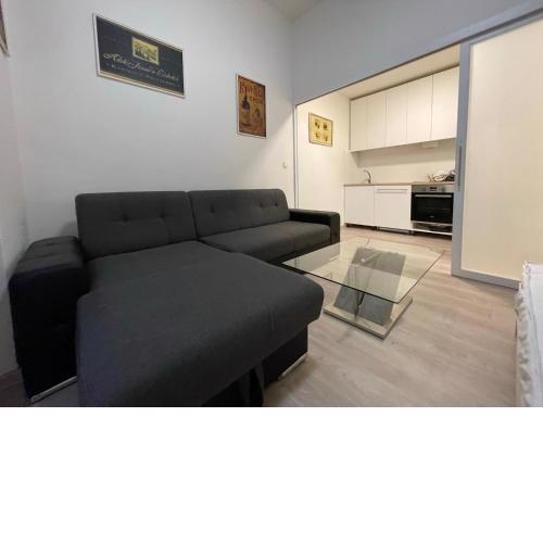 Vintage Apartment Ostrava center city