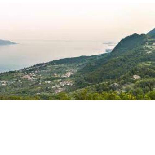 Violetta in Hilly area - Happy Rentals