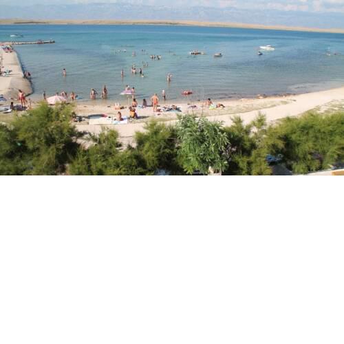 Vir adriatic sea