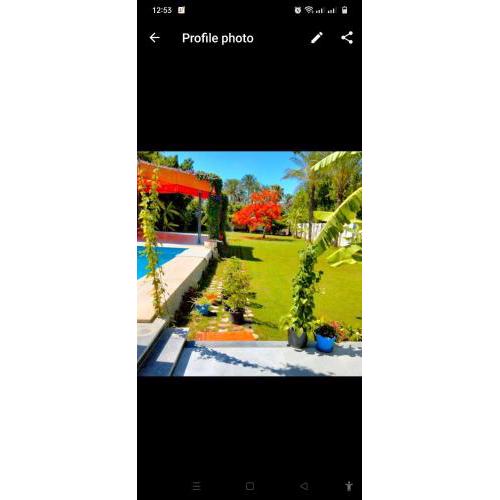 Virgin paradise for families and singles resort