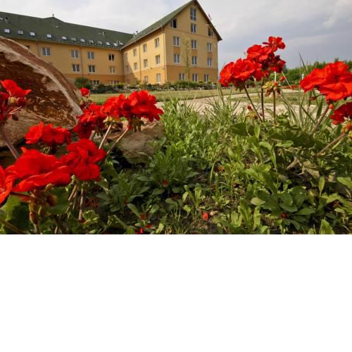 Vis Vitalis Hotel
