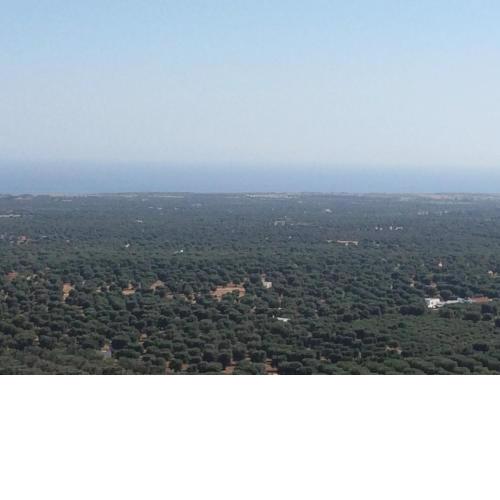 Vista mozzafiato sul mare, suite di lusso - Ostuni