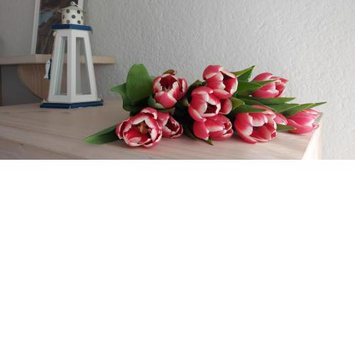 Vistes al mar Ideal per parelles i teletreball