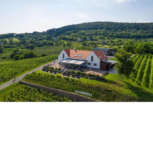 Vitis Kúria 7171 Balatonrendes