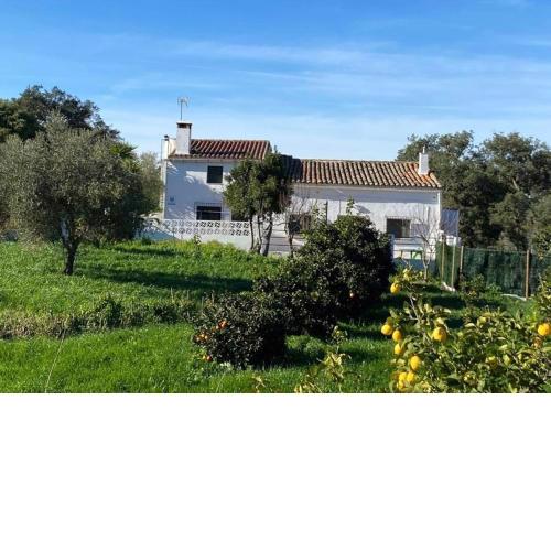 VIVIENDA RURAL LOS OJALVOS