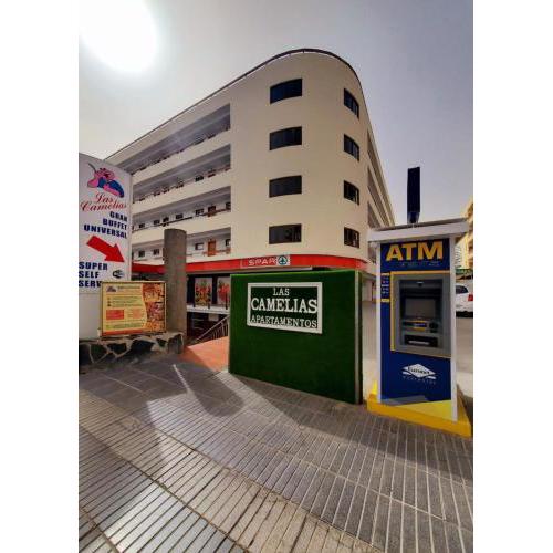 Vivienda Vacacional - Las Camelias #150710
