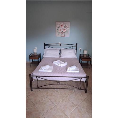 Vivis house