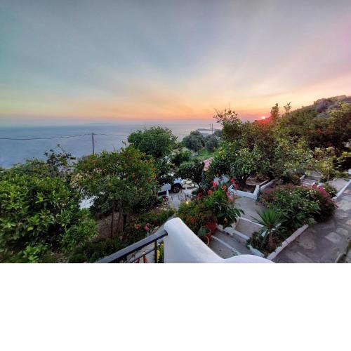 Vlami's House Andros