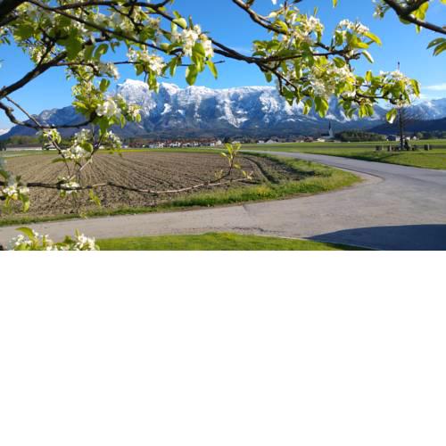 Vor den Toren Salzburgs