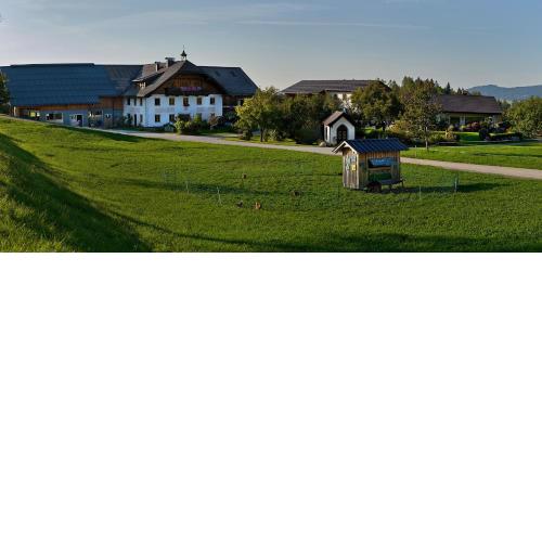 Vorderreithbauer