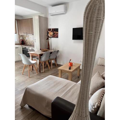 Voula's Cozy Studio in Ano Mera Mykonos