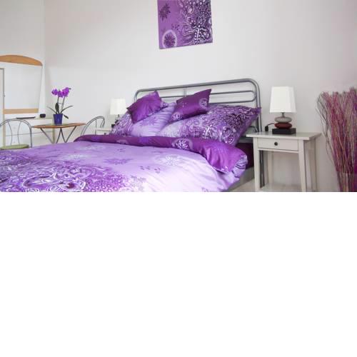 Vyšehrad Bright Apt