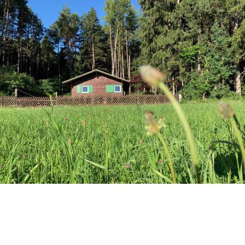 Waldchalet am Eichhof