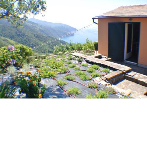 Walk and Relax Retreat - HOMY 5 TERRE