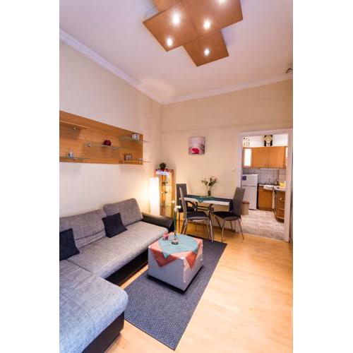 Waterfall Apartment in the city center