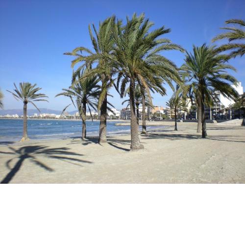 Waterfront apartment perfect for beach lovers.