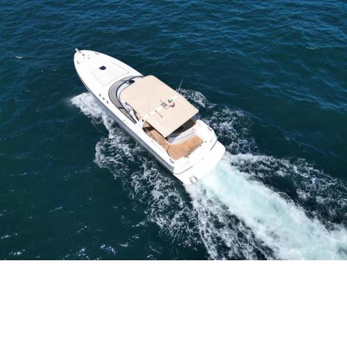 Waveoflovecharter