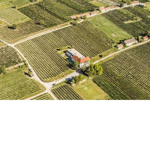 Wein-Gut Hutter