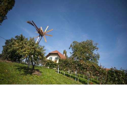 Weinbau Dietrich