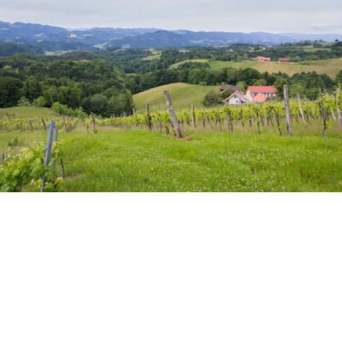 Weingut - Gästezimmer Resch Ludwig vlg. Powoden