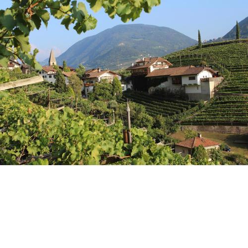 Weingut Eberlehof