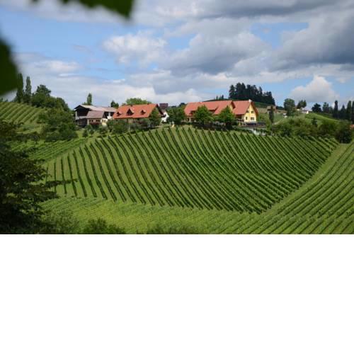 Weingut Fellner