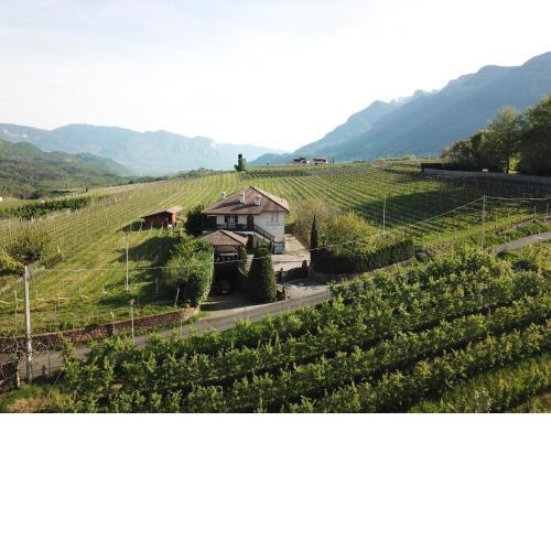 Weingut Hochleiten