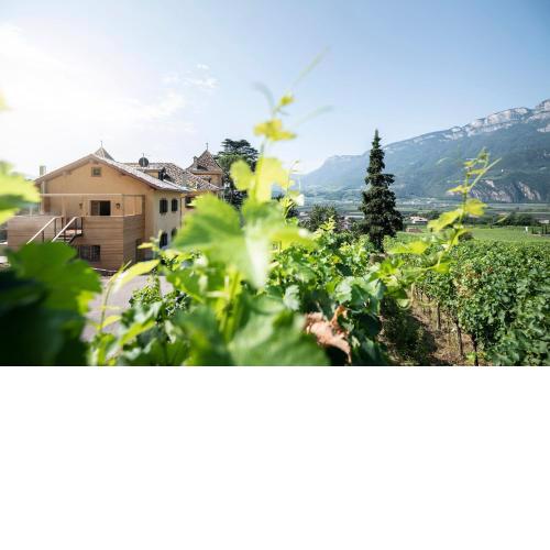 Weingut Kornell - Schafferhaus Cosmas und Zeder