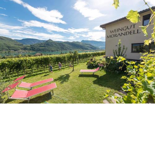 Weingut Morandell